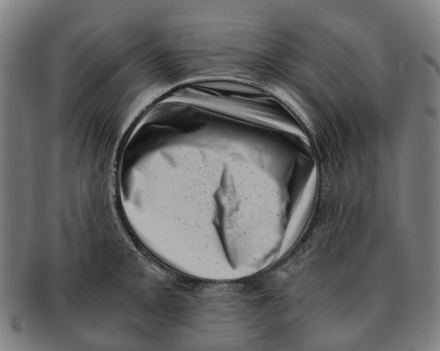 X0000091011093200708301351