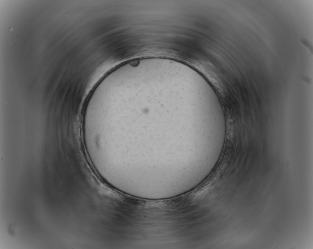 X0000091011094200708301351