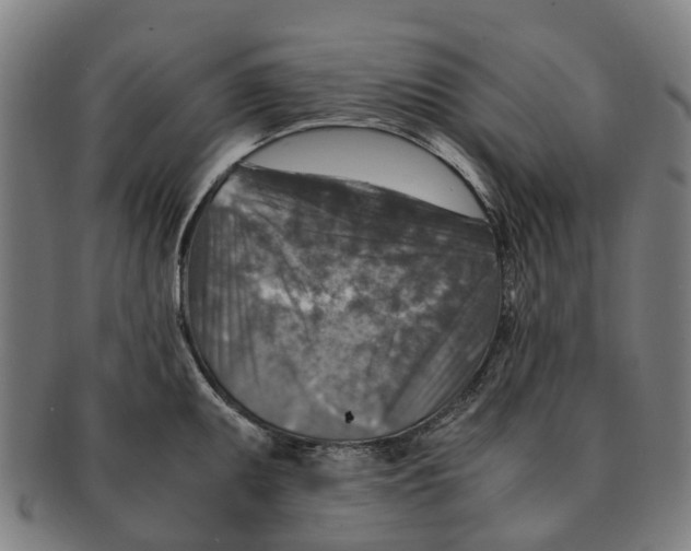 X0000091011095200708301351