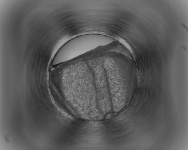 X0000091011096200708301351