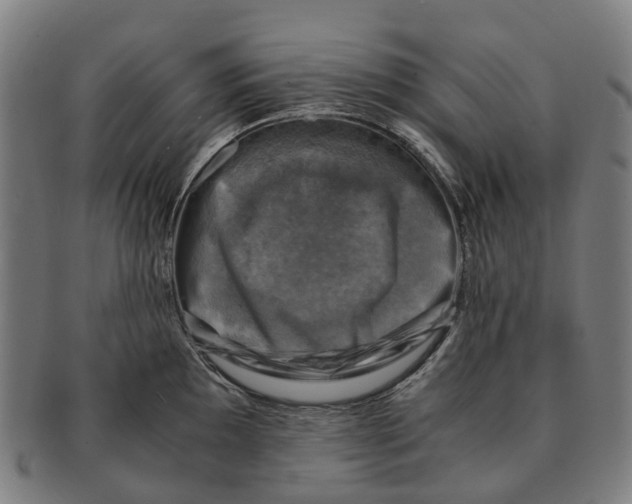 X0000091011097200708301351