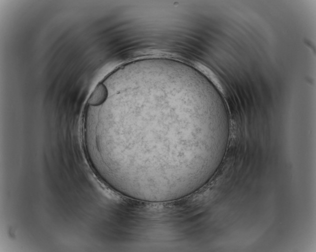 X0000091011098200708301351