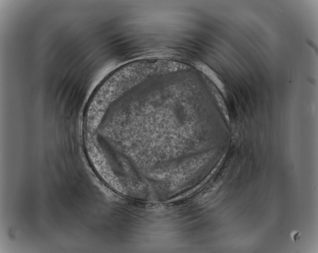 X0000091011099200708301351