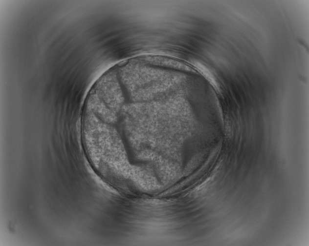 X0000091011100200708301351