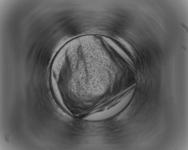 X0000091011102200708301351