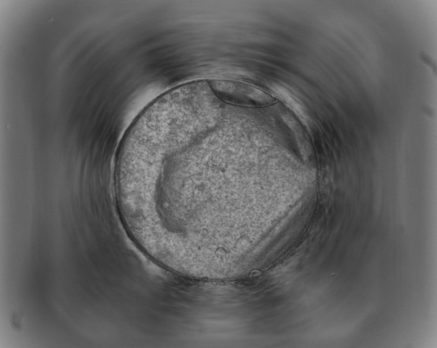 X0000091011103200708301351