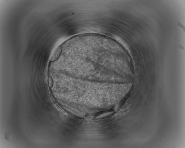 X0000091011104200708301351