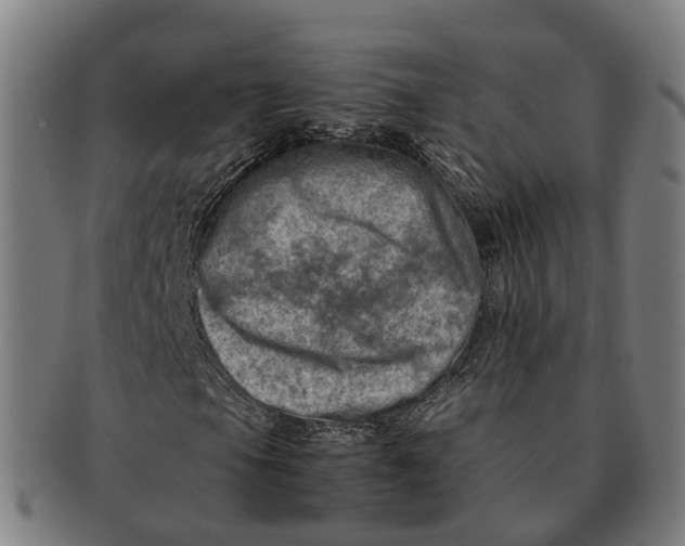 X0000091011105200708301351