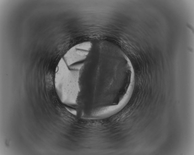 X0000091011106200708301351