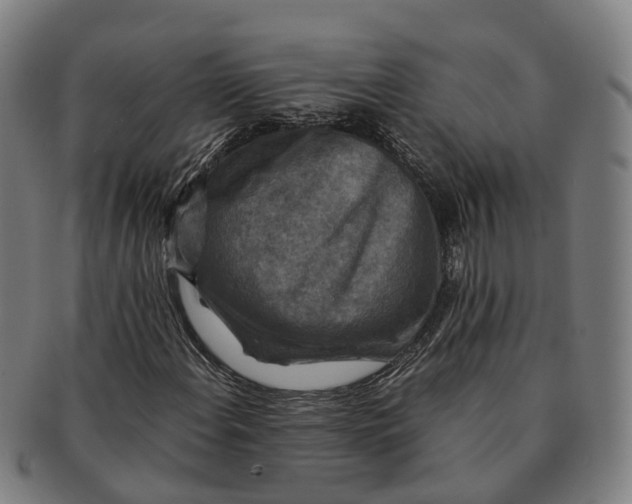 X0000091011108200708301351