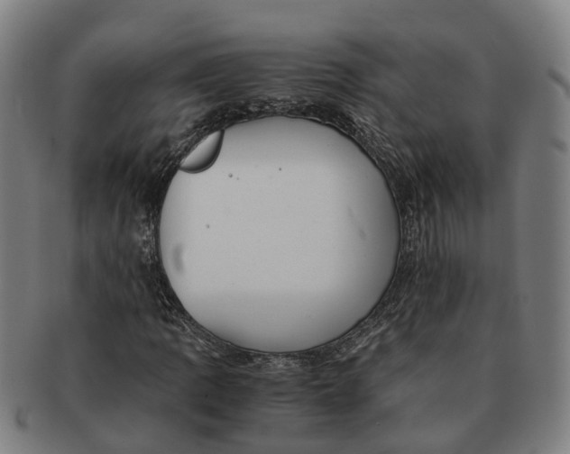 X0000091011109200708301351