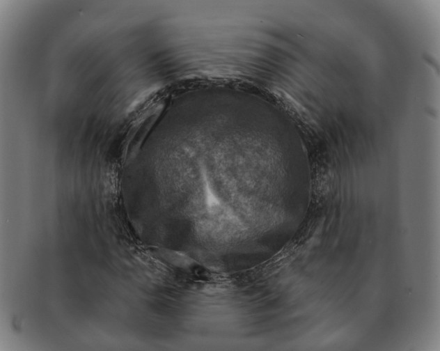 X0000091011110200708301351