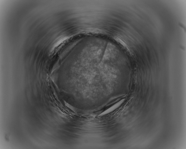 X0000091011112200708301351