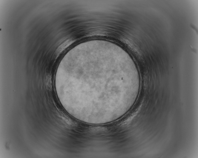 X0000091011113200708301351