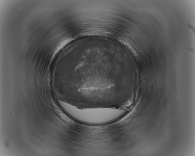 X0000091011114200708301351