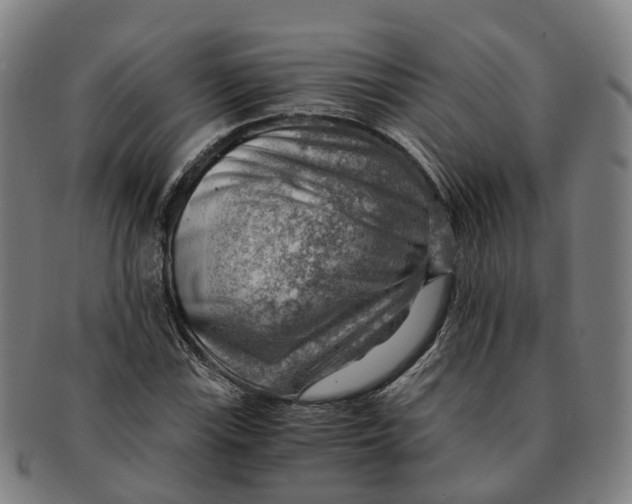 X0000091011115200708301351