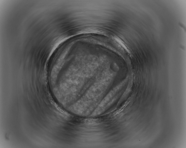 X0000091011116200708301351