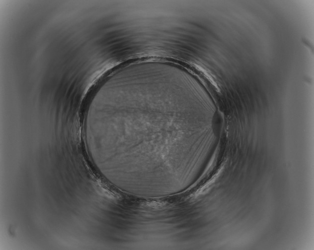 X0000091011117200708301351