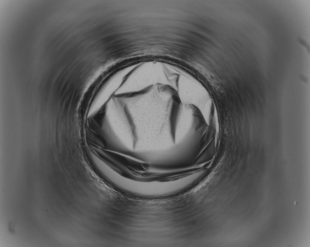 X0000091011118200708301351