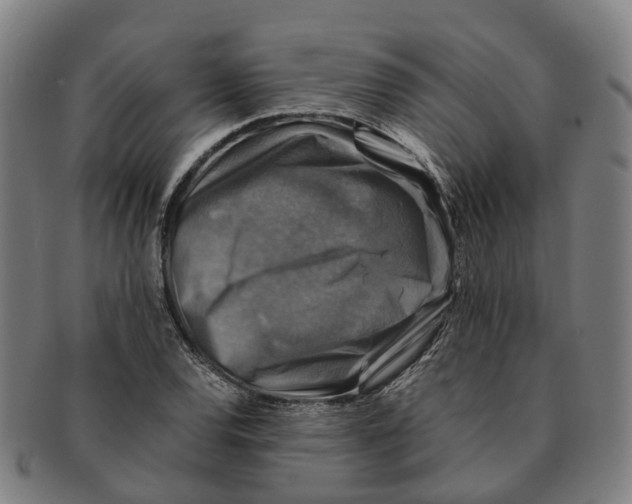 X0000091011120200708301351