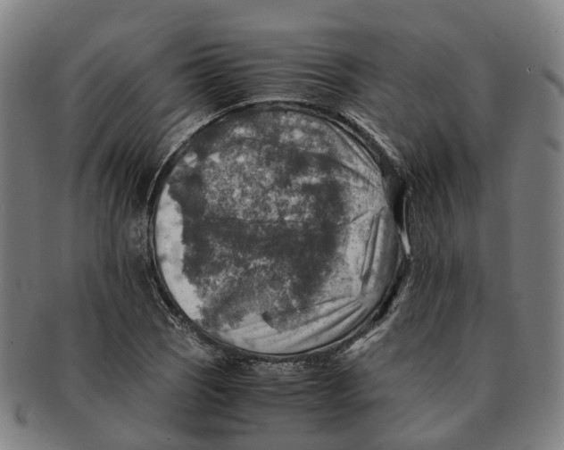 X0000091011121200708301351