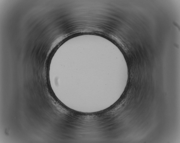 X0000091011122200708301351