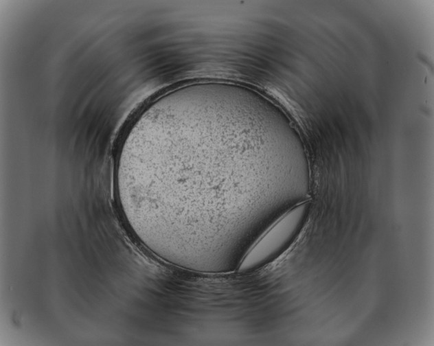 X0000091011123200708301351