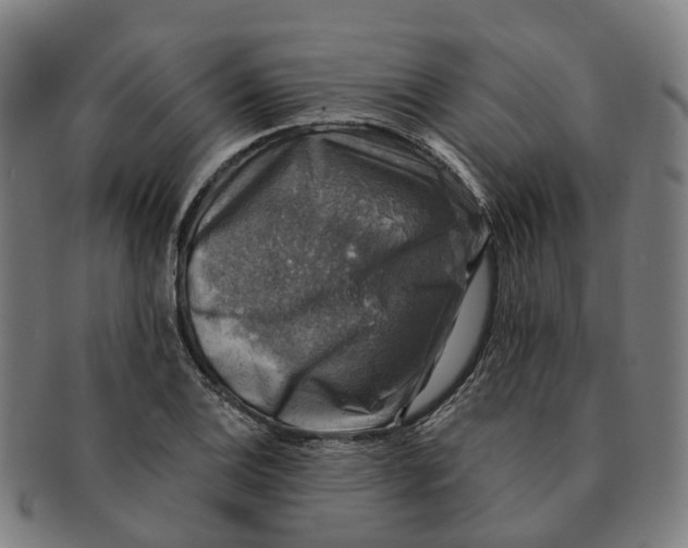 X0000091011124200708301351