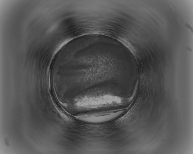 X0000091011127200708301351