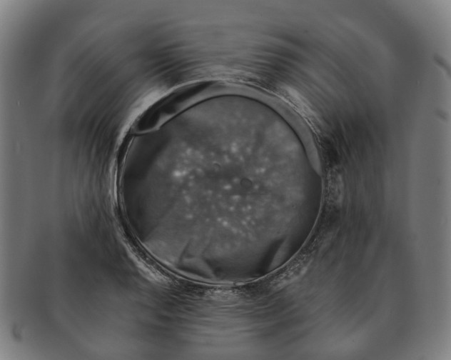 X0000091011128200708301351