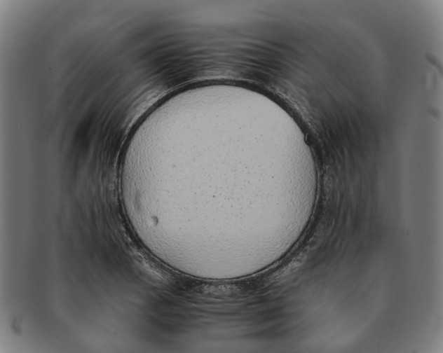 X0000091011129200708301351