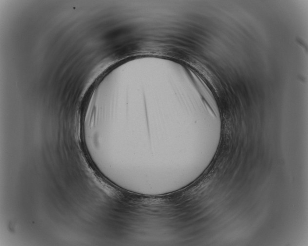 X0000091011131200708301351