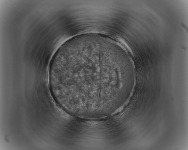 X0000091011132200708301351