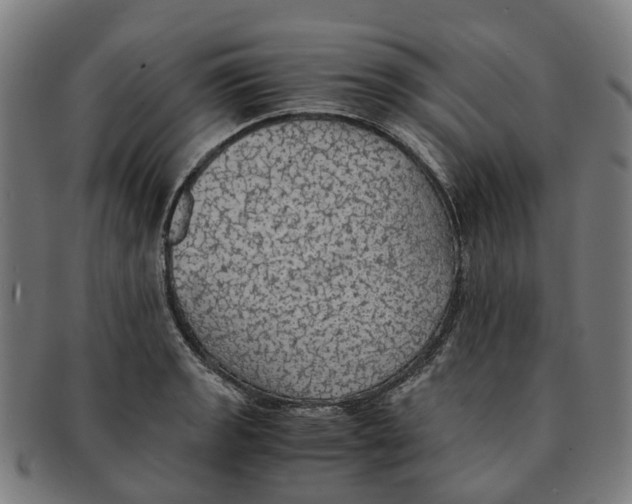 X0000091011133200708301351