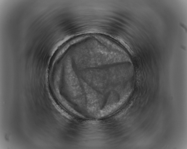 X0000091011134200708301351