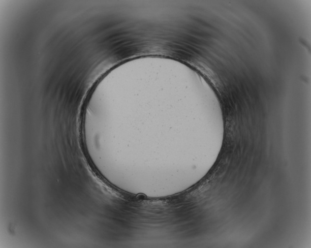 X0000091011135200708301351