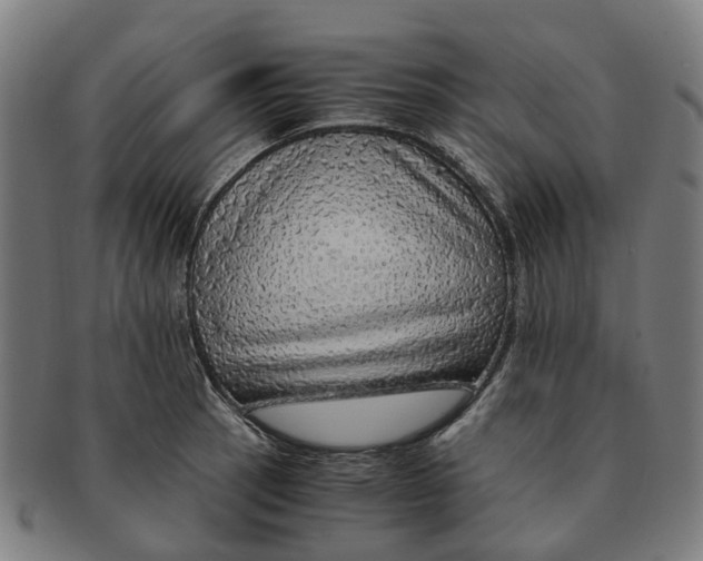 X0000091011137200708301351