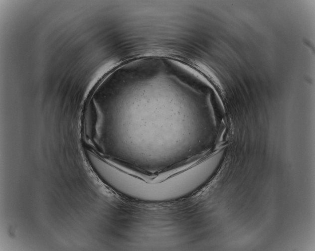 X0000091011138200708301351