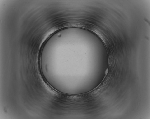 X0000091011139200708301351