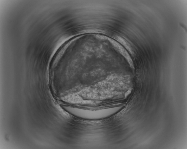 X0000091011140200708301351