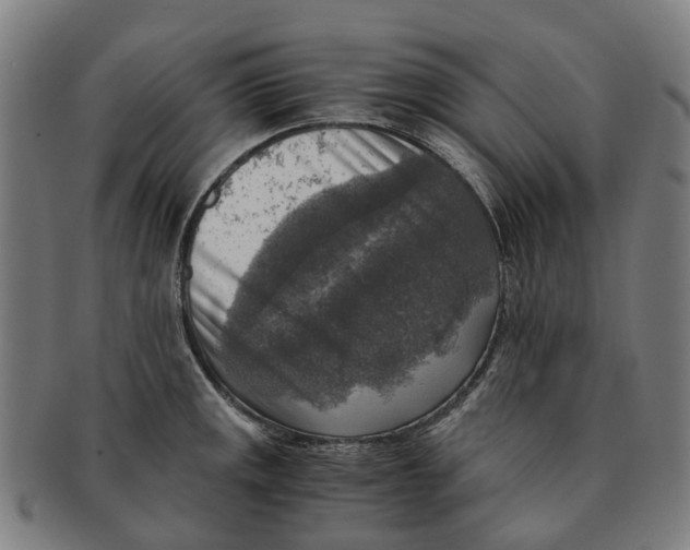 X0000091011141200708301351