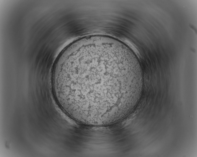 X0000091011142200708301351