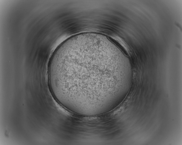 X0000091011143200708301351