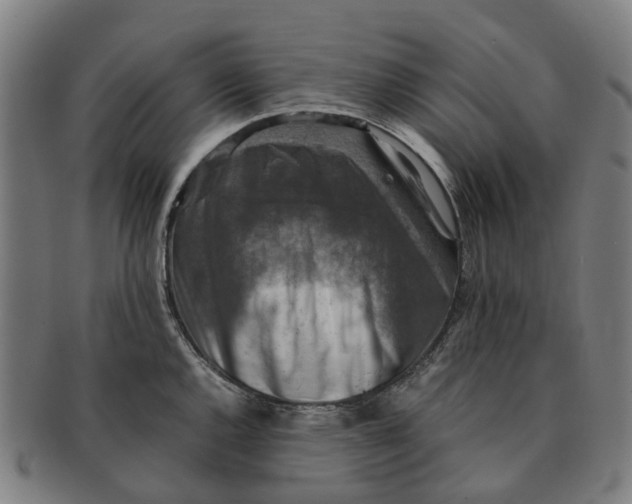 X0000091011144200708301351