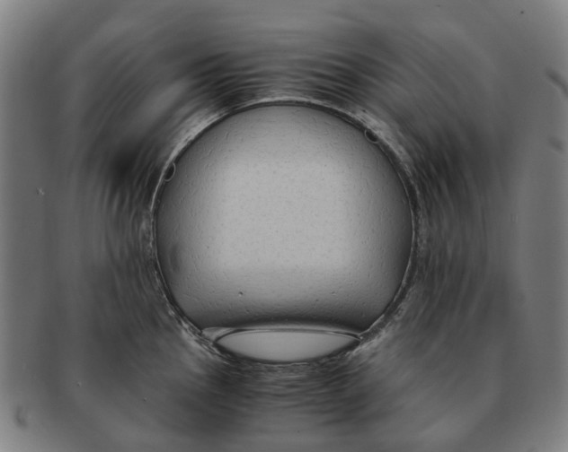 X0000091011145200708301351