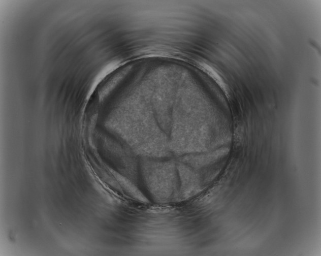 X0000091011146200708301351