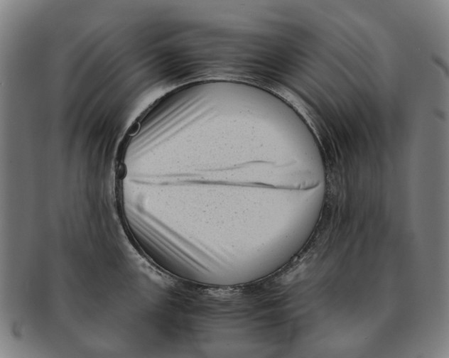 X0000091011147200708301351