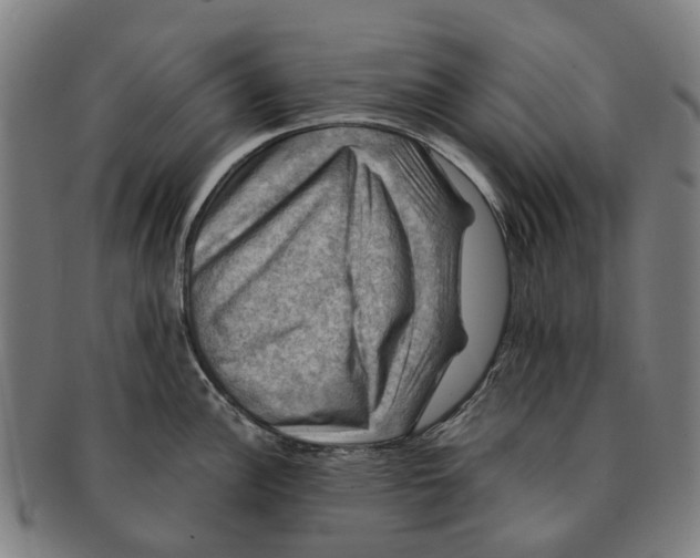 X0000091011148200708301351