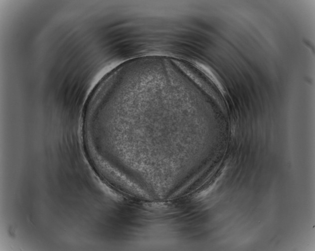 X0000091011149200708301351