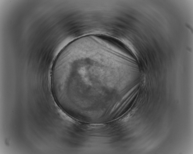 X0000091011151200708301351